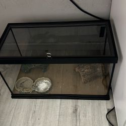 10 Gallon Tank