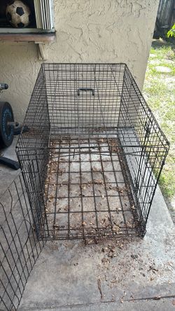 Dog Kennel