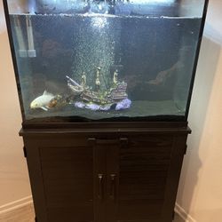 40 Gallon fish tank 