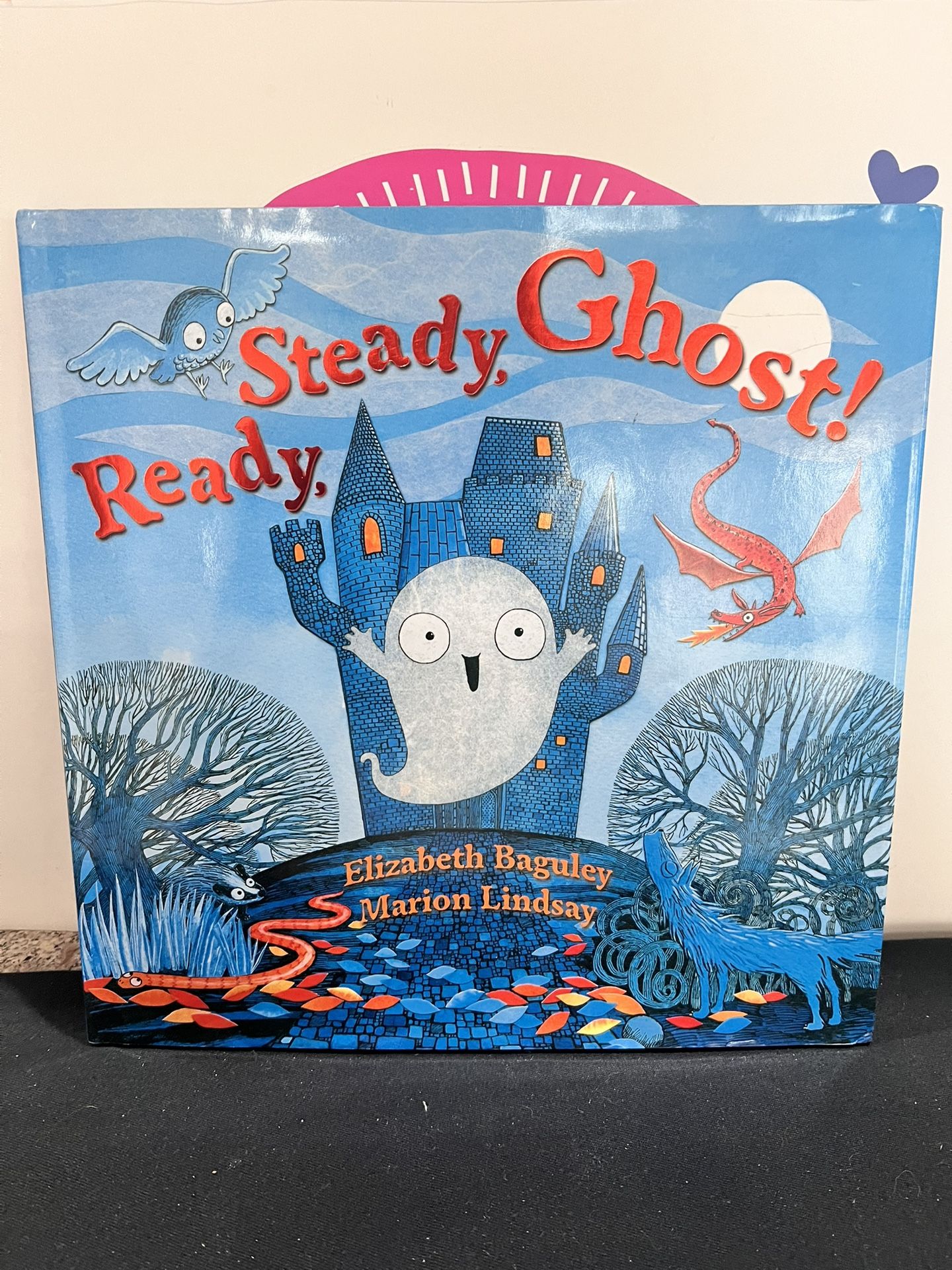 READY STEADY GHOST ! 10 x 10 NEW HARDCOVER BOOK