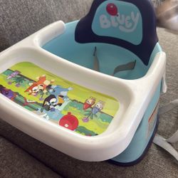 Bluey Booster Seat 
