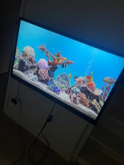 Tv & Roku device