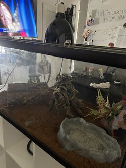 Reptile Tank