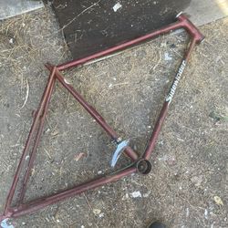 Vintage Schwinn Sidewinder Frame