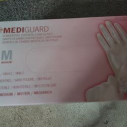 Vinyl Gloves