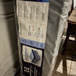 Queen Mattress And Protector