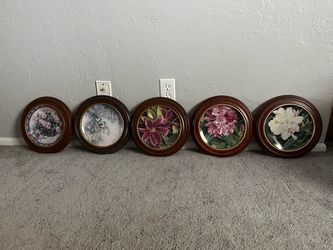 5 Decorative Framed Plates