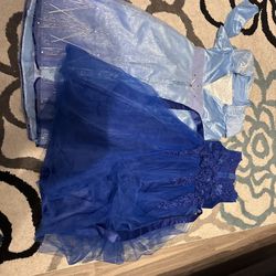 Elsa Disney Dress  And Fancy Blue Dress 