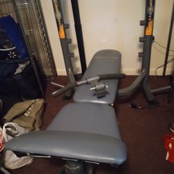 Weight Lifting Bench ,W/Some Weights Included