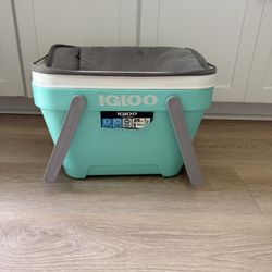 IGLOO 25 QUART
