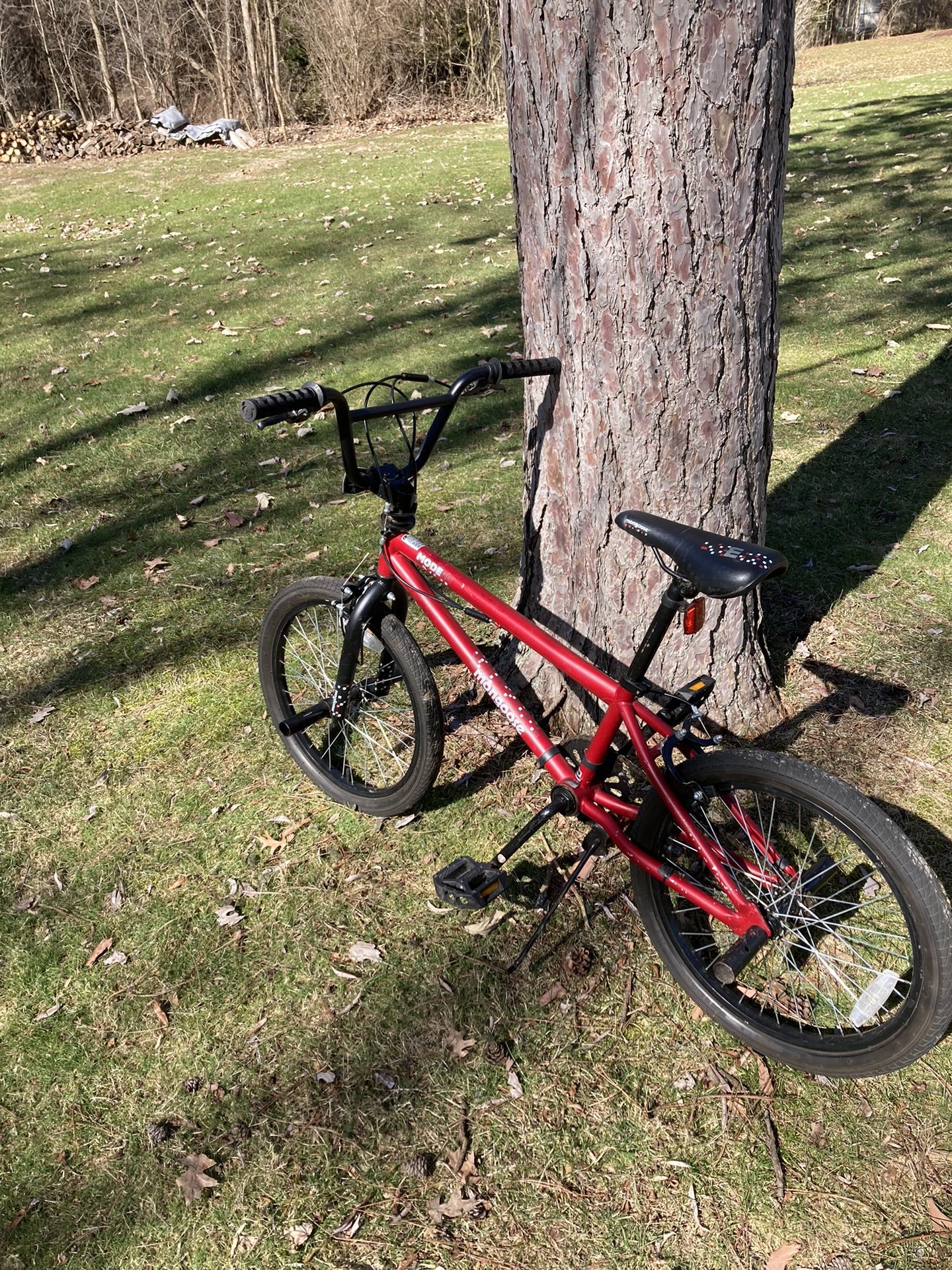 20” Mongoose Bmx Bike
