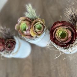 Succulents Gifts 