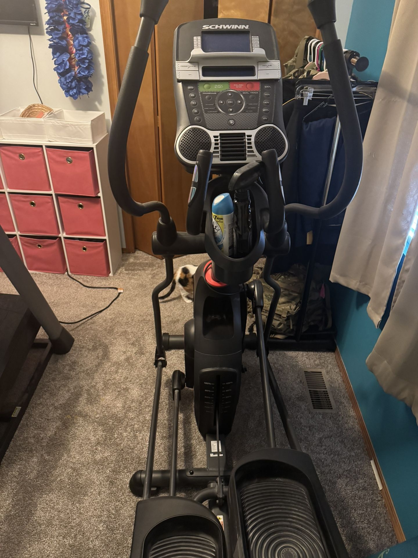 Schwinn elliptical