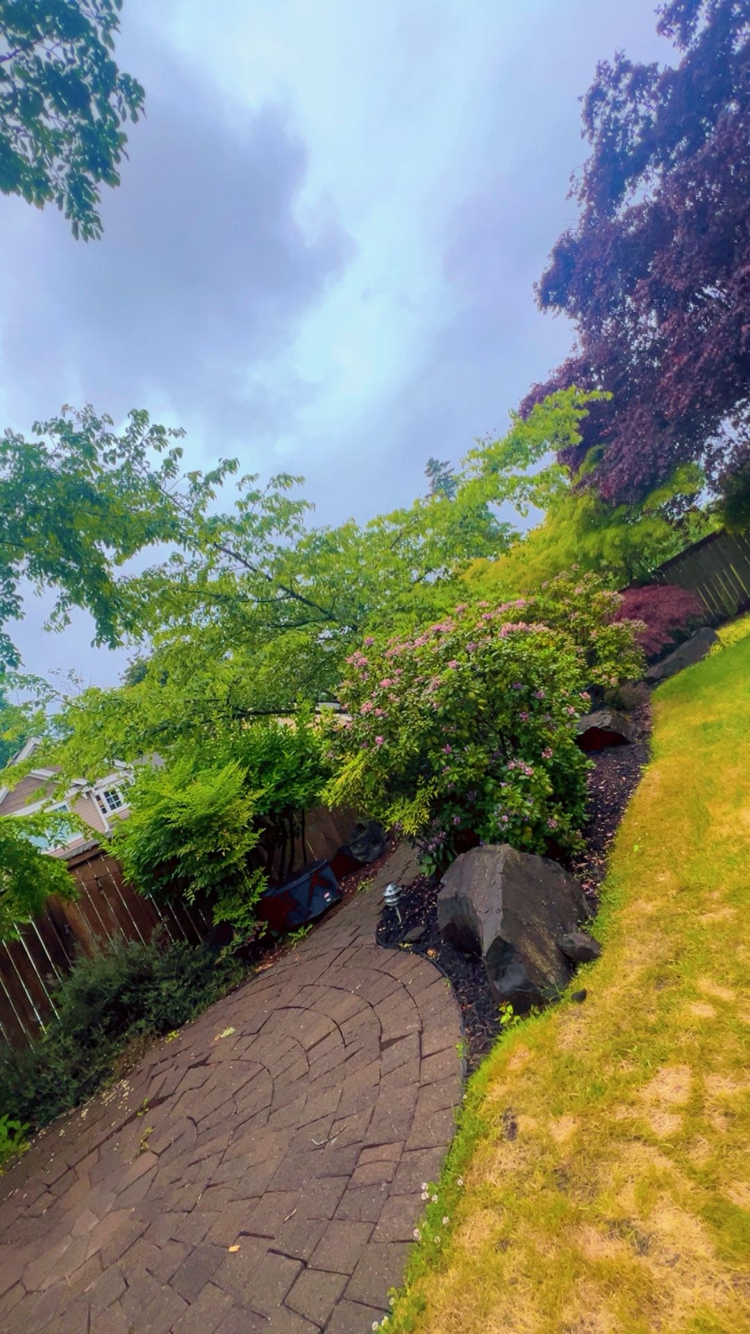 🌿 FREE Garden Plants & Landscape Rocks – First Come, First Serve! 🌿