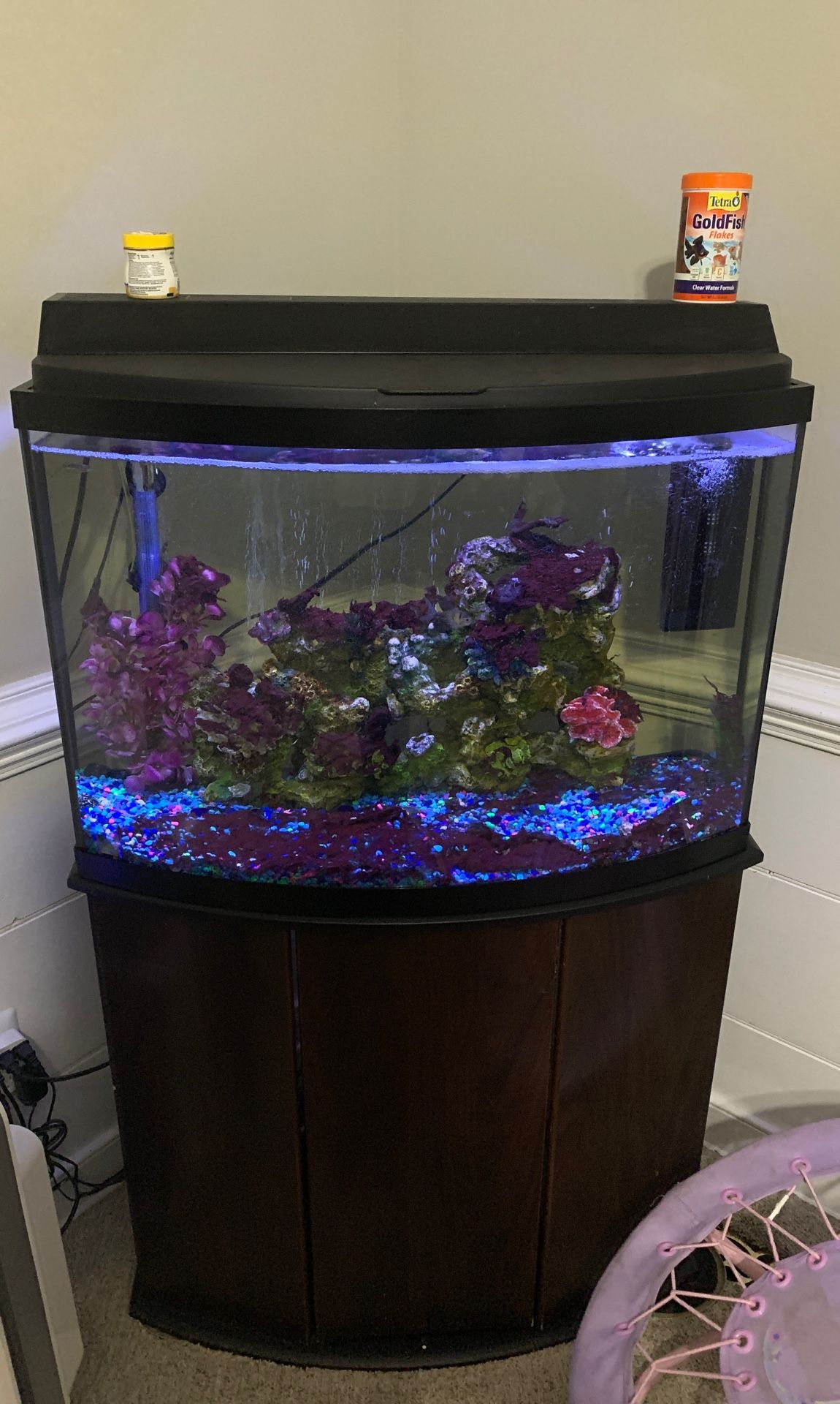 36 Gal Bow Front Aquarium with gravel filter stand heater air bubbler!