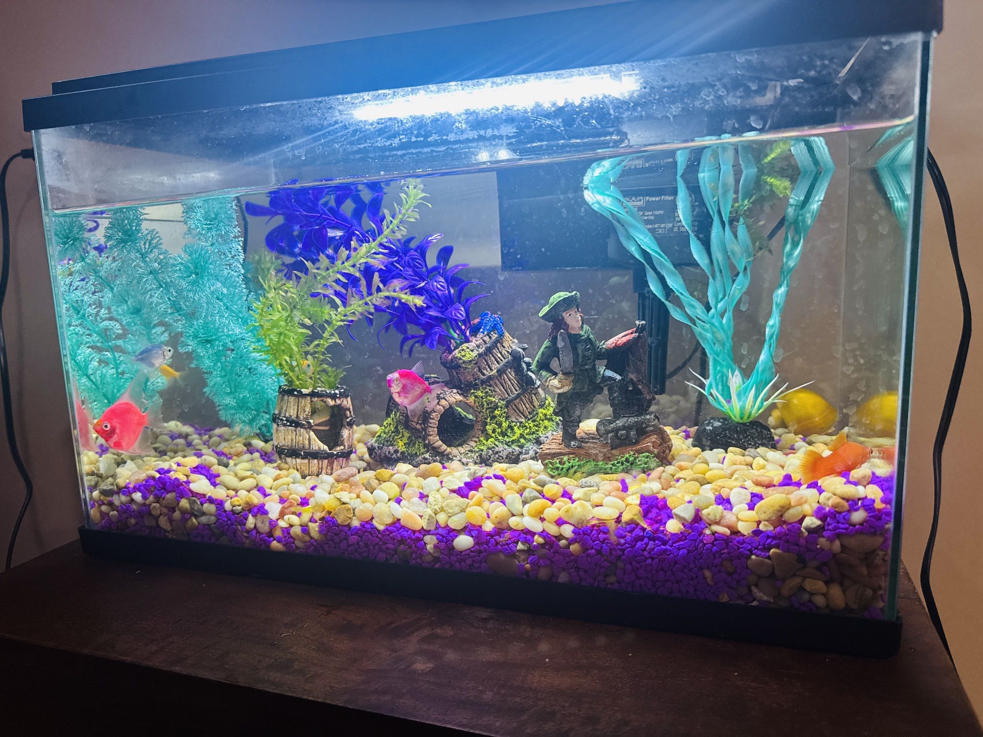 8 Gallon Fish Tank For Sale