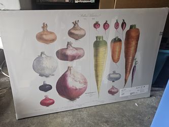 Onion, Radish, Carrots Ikea Kitchen Art