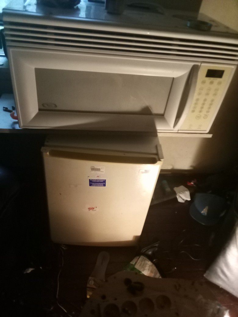 Microwave In Refrigerator