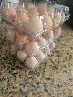 Huevo criollo