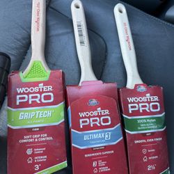 Wooster Paint Brushes New $30 For All