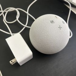 Alexa Speaker 
