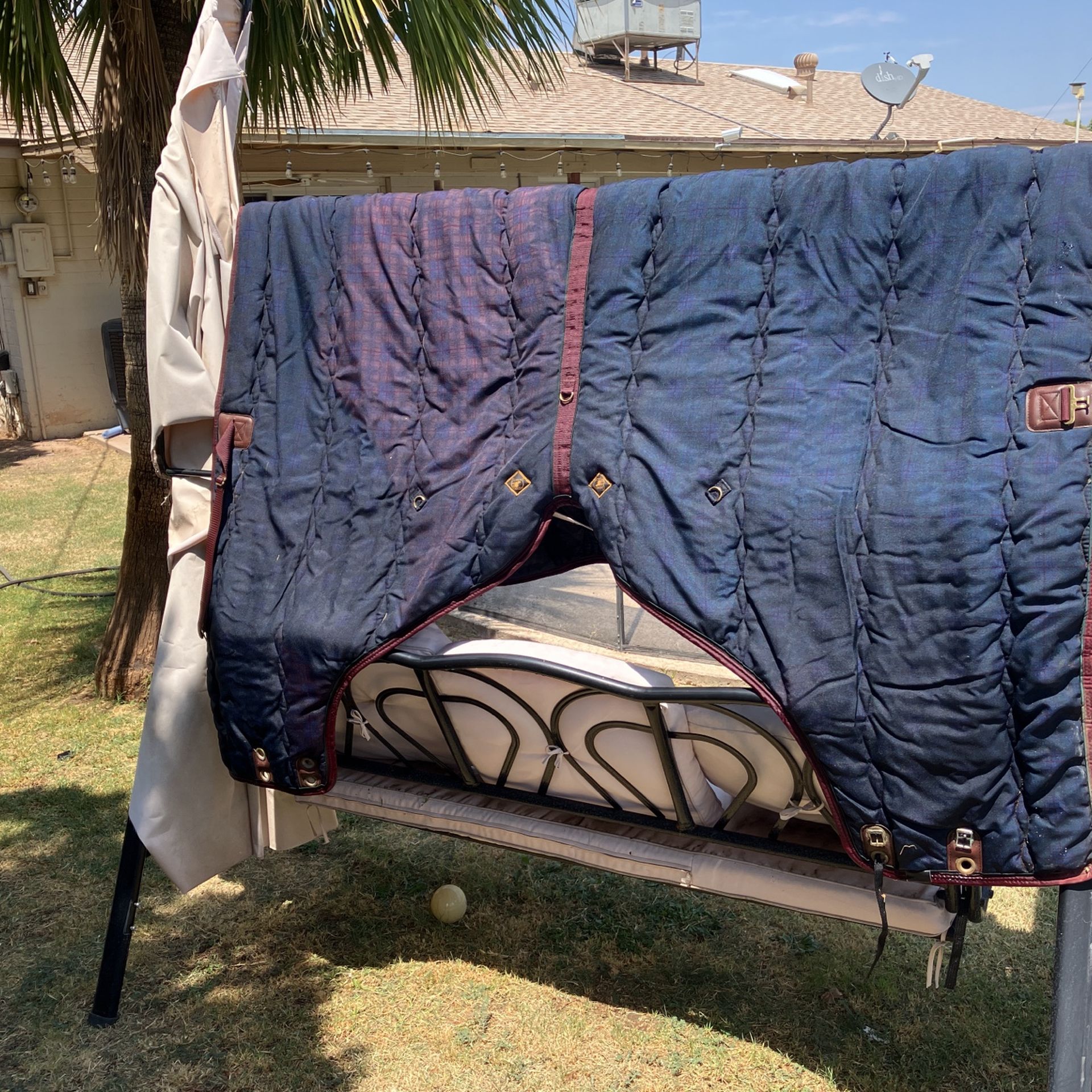 Horse blanket