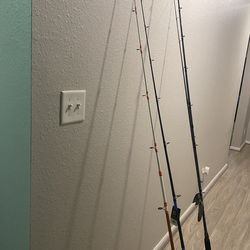 Heavy Duty Casting Rods