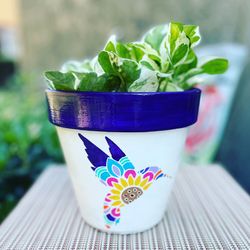 Hummingbird Garden Flower Pot