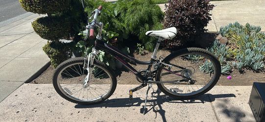 Trek MT 220 Youth Mountain Bike