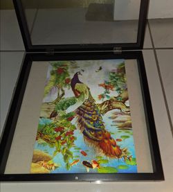 10"x14" 3D lenticular peacock & koi fish picture in black display shadow box frame. Image shifts for 3‑D effect. Good condition.