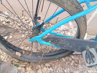Cranbrook Bike