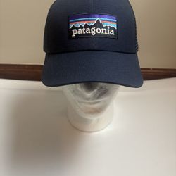 Patagonia Trucker Cap P-6 Logo / Blue 