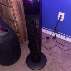 Fan 