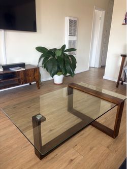 Contemporary Floating Glass & Walnut-Finish Coffee Table