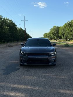 Dodge Charger OEM hood