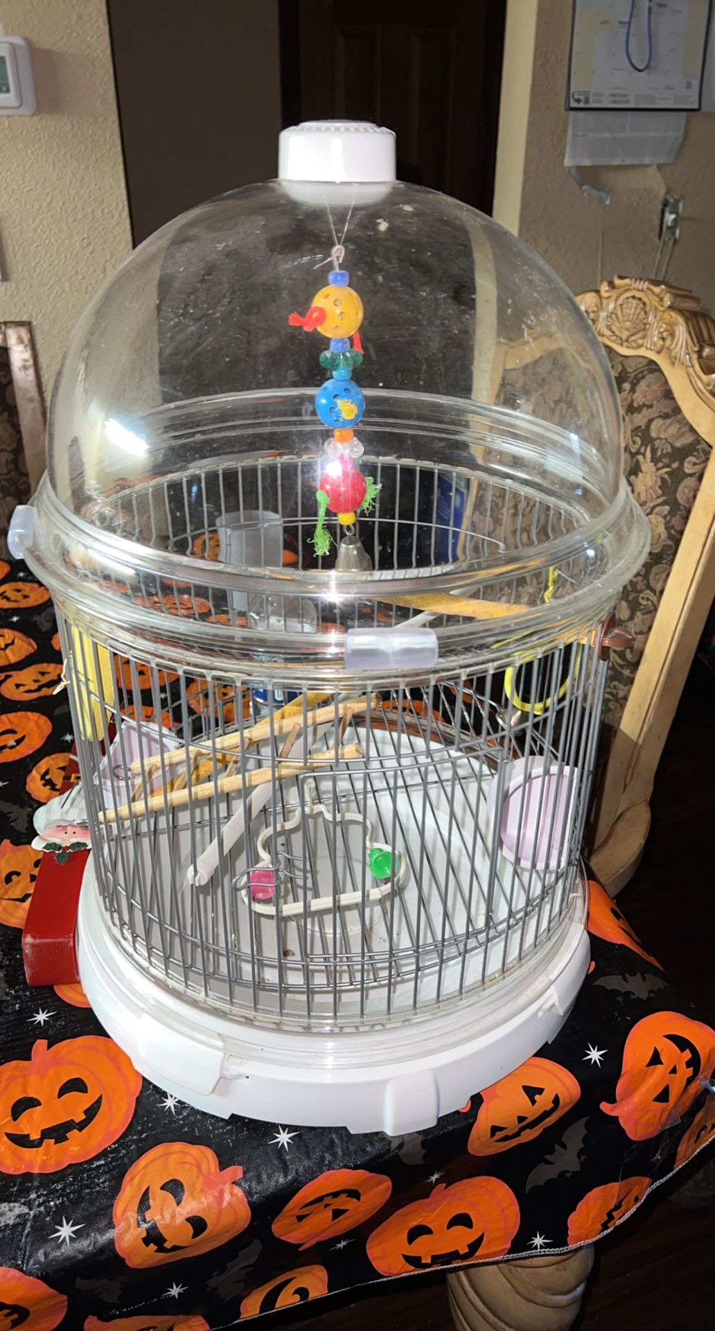 Bird Cage $20