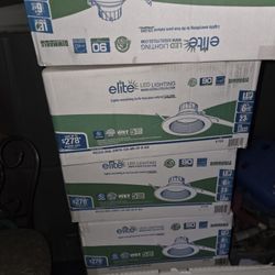 Lights 12 In Each Box 