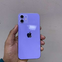 iPhone 12 64GB Factory Unlocked On Sale For $235