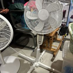 Fan