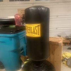 Everlast Punching With Base