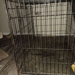 Dog Cage
