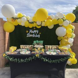 Party Decorations And Ballon Bouquets 