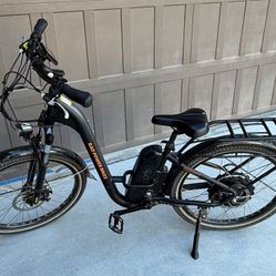 Rad City Rad Power E-Bike