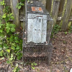 Animal Traps