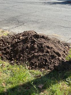 Soil