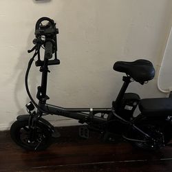 Electric Scooter