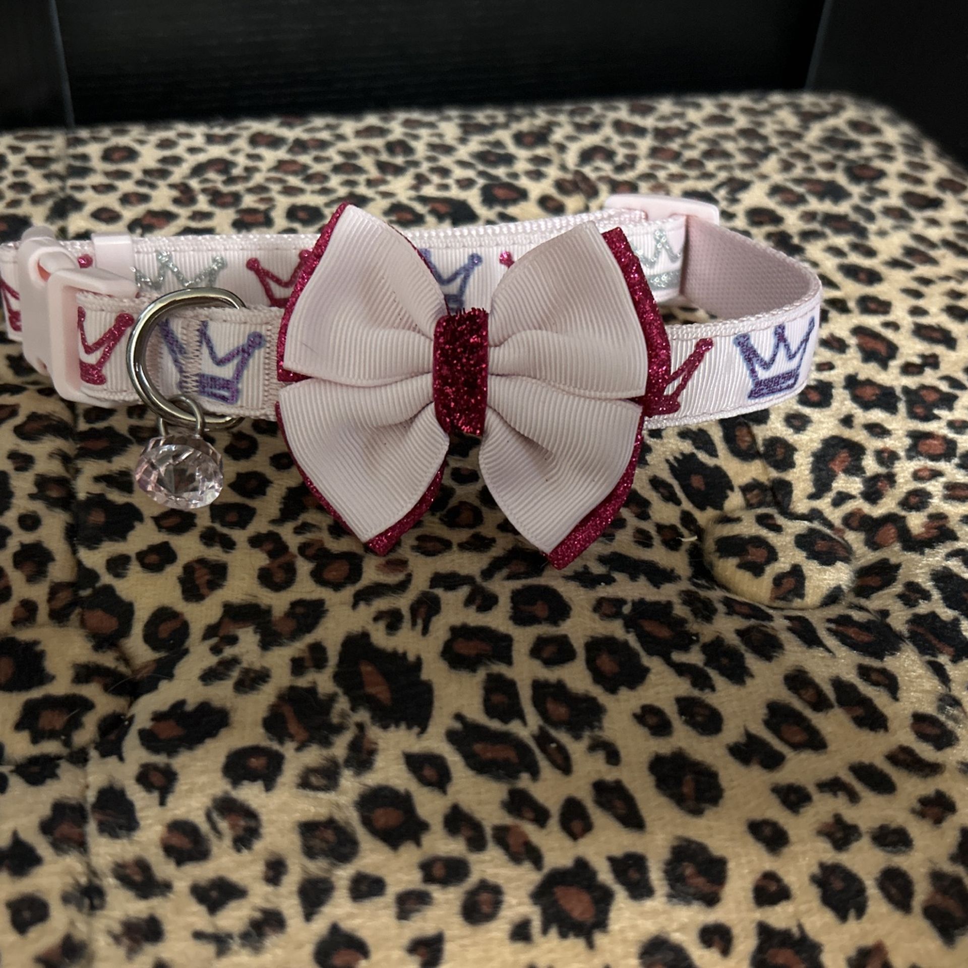 Large Dog Collar