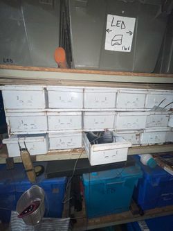 Organizer