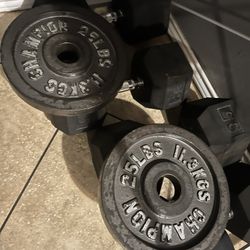 Pair Of 25s Weights