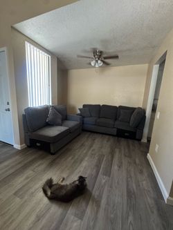 Gray Matching Couch Set